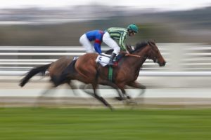 Blurred Horses Racing