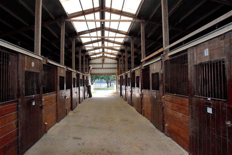 Empty Stables