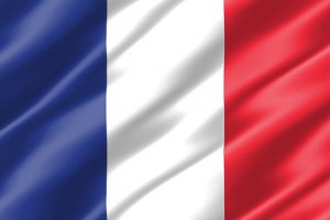 Wavy French Flag