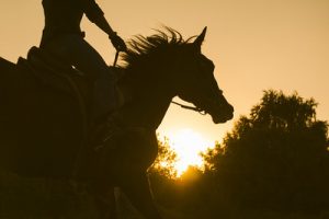 Horse Rider Silhouette at Sunset