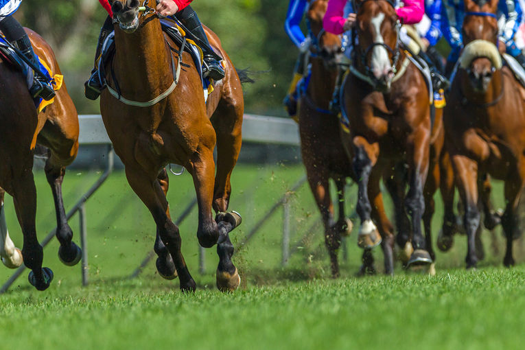Horses Hooves During Race