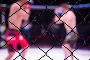 MMA Fighters in Octagon Blurred