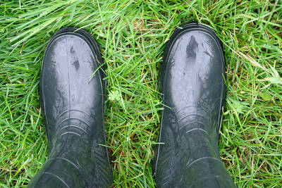Wellington Boots on Grass